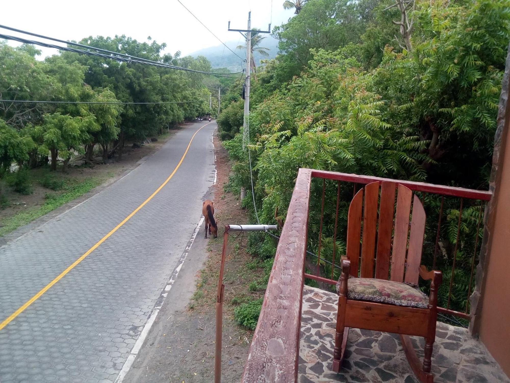 Beach Cabin Ometepe Altagracia Номер фото